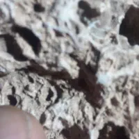 سرگرمی وفراغت