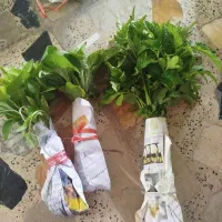 نشا بادمجان،گوجه،فلفل