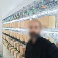 کوتوله عروس گرینچیک کاسکو خورشیدی یووینگ فیشر