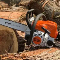 قطع درخت و خرید چوب|خدمات باغبانی و درختکاری|لامرد, |دیوار