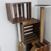 استند پت خانگی