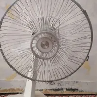 پنکه زمینی سالم