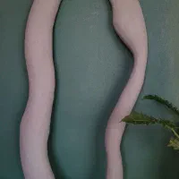 قاب آینه|آینه|آبادان, |دیوار