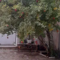 فروش باغ در جاجرود