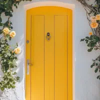 همخانه میشوم آقا هستم هنرمند