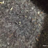 فروش لباس کهنه