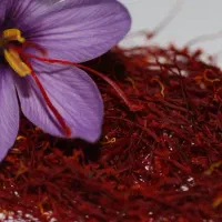 زعفران درجه یک مرند