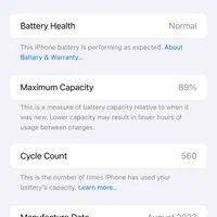 اپل iPhone 15 Pro Max با حافظهٔ ۲۵۶ گیگابایت