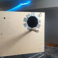 جفت عروس|پرنده|بافق, |دیوار