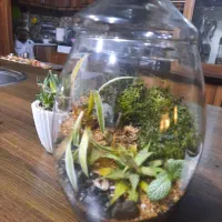 پرستار خانم