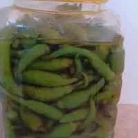 ترشیجات خانگی