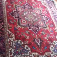 لوازم خانگی|فرش|بناب, |دیوار