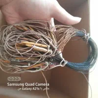 پاگیر برای گنجشک