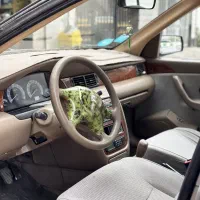 ۸۵سفارشی پلم|خودرو سواری و وانت|گرگان, |دیوار