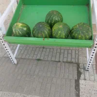 استند میوه و یخچال ویترینی|فروشگاه و مغازه|ماسال, |دیوار