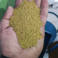 بذر یونجه