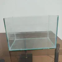 اکواریوم سالم معاوضه باگل