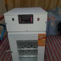 دستگاه جوجه کشی ۱۲۶ عددی