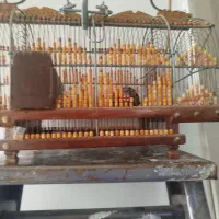 قفس دست ساز