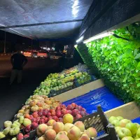 فروش گاری میوه