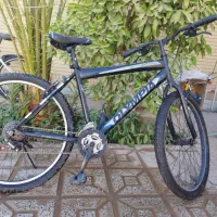 دو عدد دوچرخه فروشی|دوچرخه، اسکیت، اسکوتر|طبس, |دیوار