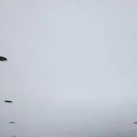 رنگ کاری و رنگ آمیزی و نقاشی ساختمان|خدمات پیشه و مهارت|دزفول, |دیوار