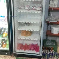 یخچال فریزر ایستاده