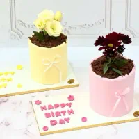 نمونه کیکها برای پرستاران عزیز و زینبها|خدمات پذیرایی، مراسم|یزد, |دیوار