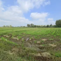 ۲۰۰۰متر زمین کشاورزی کاملا یکدست نزدیک امتیازات