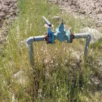 ۲هکتار زمین زراعی مرغوب