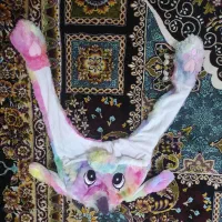 کلاه پمپی چراغ دار|کفش و لباس بچه|آستانه اشرفیه, |دیوار