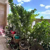 ویلایی 200 متر سالن زیبایی/باشگاه یوگا و مسکونی|اجارهٔ خانه و ویلا|مشهد, فارغ التحصیلان|دیوار