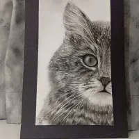 سفارش نقاشی|تابلو، نقاشی، عکس|سبزوار, پیام|دیوار