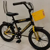 دوچرخه ۱۶ عروسک