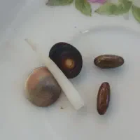 یک بار امتحان کن )فال تاروت (