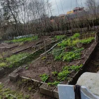 فروش با قیمت مناسب زمین ۲۰۰ متری در تربه‌گوده