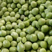 باقالی و نخود سبز تمیز
