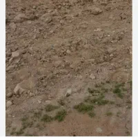 ۵هکتار زمین