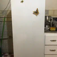 فریزر تکی فیلور