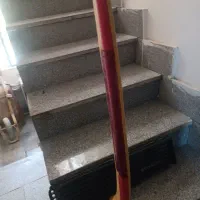 بال عقب سمندوجلوپنجره پیکان