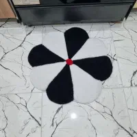 پادری واینه