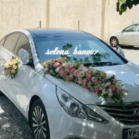 ماشین عروس/دسته گل/گل آرایی در محل/ تاج گل|خدمات پذیرایی، مراسم|تهران, آهنگ|دیوار