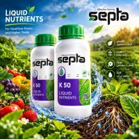 سپتا K50 پتاسیم مورد نیاز مزرعه