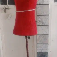 مانکن سوزن خور