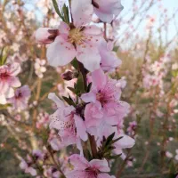 استخدام بازاریاب با سابقه