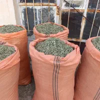 پونه درجه یک|خوردنی و آشامیدنی|گیلان غرب, |دیوار