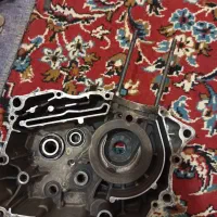 تنه و پوسته تریل|قطعات یدکی و لوازم جانبی|بهبهان, |دیوار