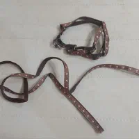 قلاده گربه کاملا نو