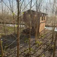 ویلای-چوبی-با-سبک-معماری-اروپایی