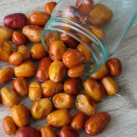 ارائه نهال سنجد قزل پربار و مقاوم|خدمات باغبانی و درختکاری|ارطه, |دیوار